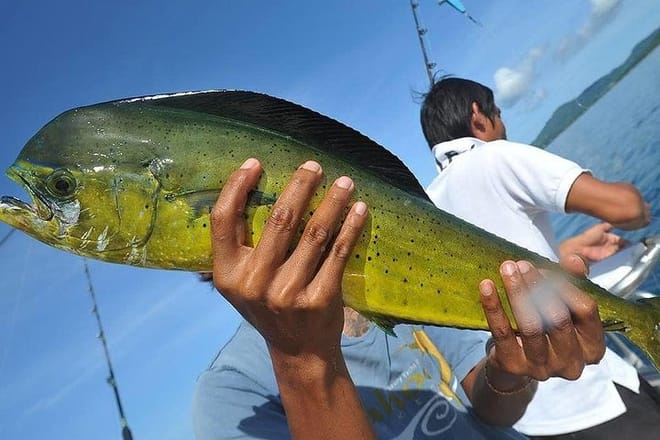 Big Game Fishing Full-Day Tour photo 5