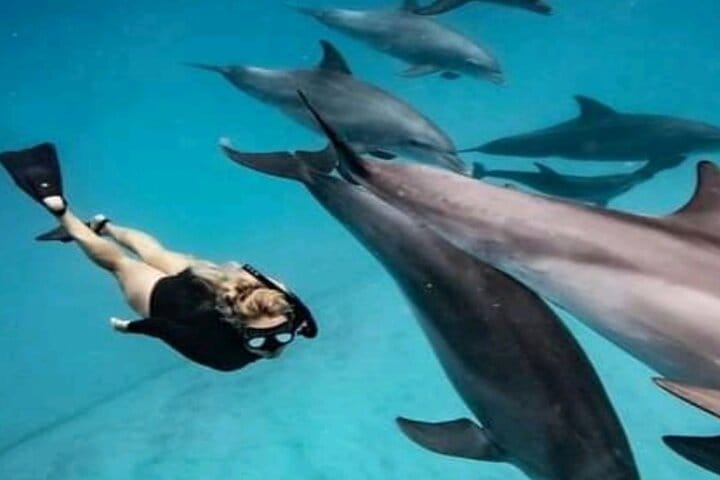 Mikumi National Park Safari Day Trip from Zanzibar