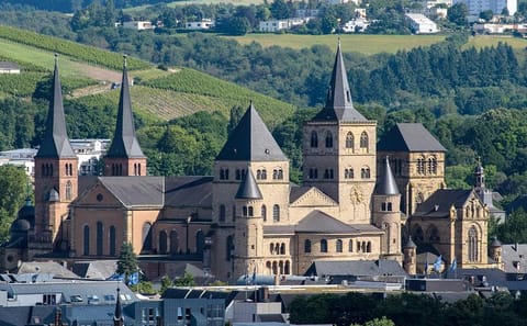 Private Guided Tour of Trier's Porta Nigra and Cathedral