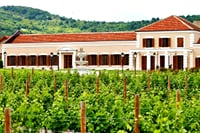 Midalidare Estate Wine Tasting & Activities 1