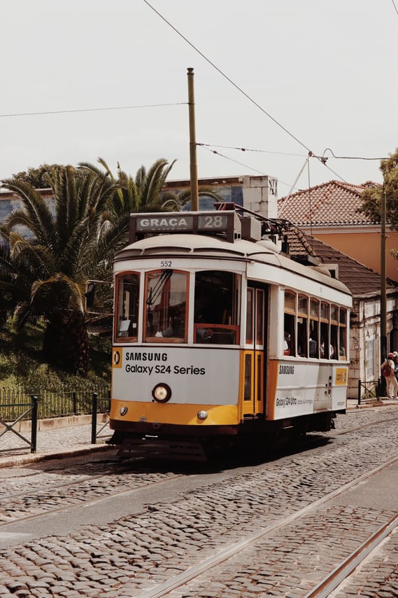 Lisbon: Best Viewpoints, Graça & São Vicente Walking Tour 3