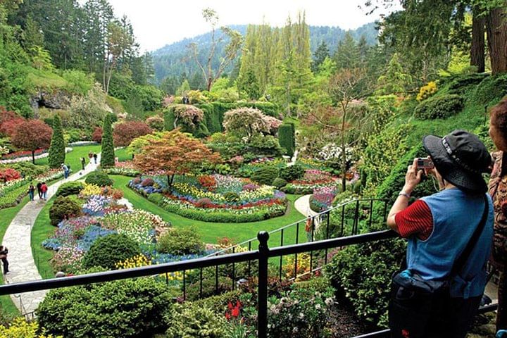 Vancouver->Victoria Tour | Visit Craigdarroch Castle and Butchart Garden Private
