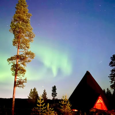 Iltaporosafari arktisen taivaan alla - Image 4