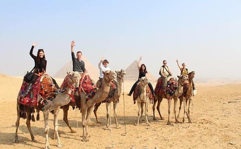 Cairo Layover Tour to Giza Pyramids and Sphinx