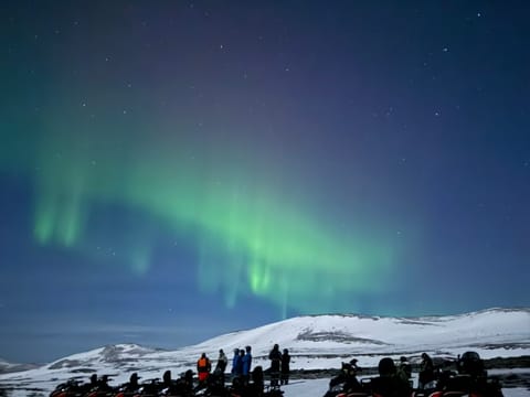 Northern Lights Snowmobile tour
