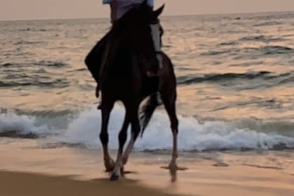 Private Horse Riding Activity in Port City