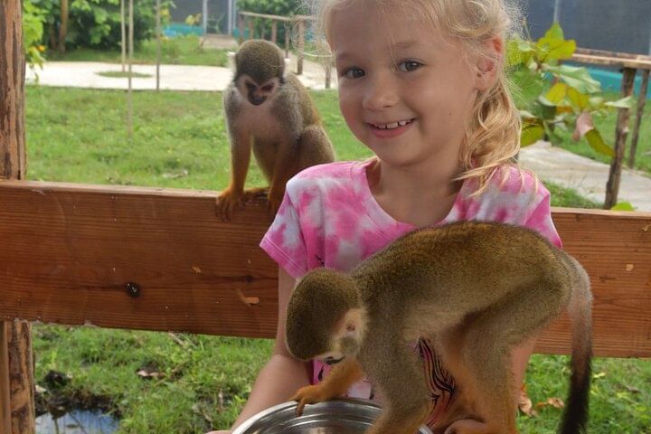 Damajagua Waterfalls and Monkey Private Van Tour