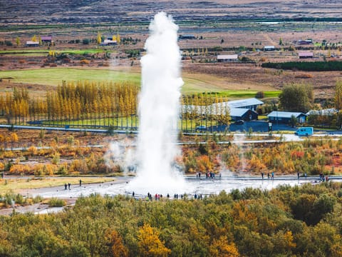 Golden Circle & Meet the Icelandic Horses | English Guide + Selected German Departures, photo 3