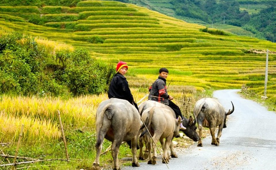 Two-Day Hard Trekking and Homestay Tour in Sapa, Vietnam
