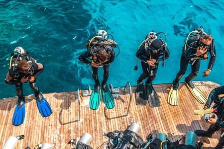Snorkeling and Diving Adventure at Ras Mohamed & White Island
