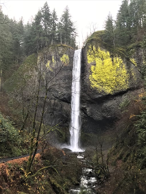 Things to do in United States of America