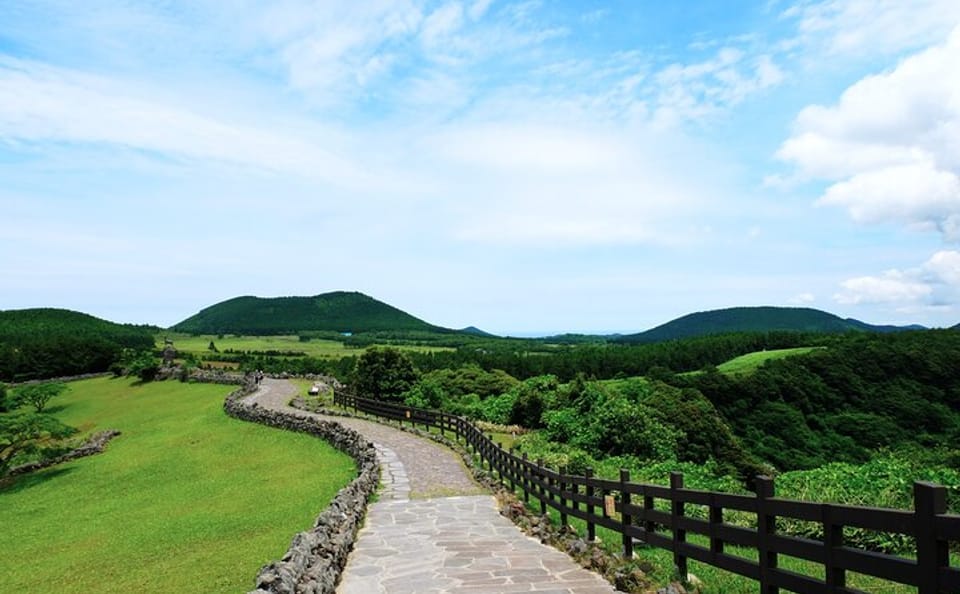 Private Jeju Island Highlights Tour for Cruise Passengers