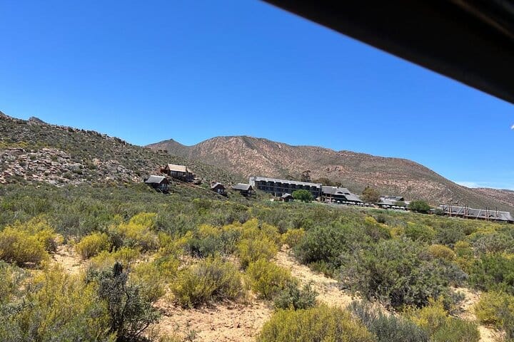 Cape Town Aquila Game Reserve Big 5 Sunset Safari with Transport