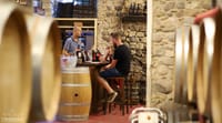 Wine Tasting in Historical Center of Lazise 1