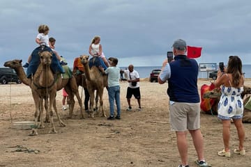 Sightseeing Day Trip from Tangier to Asilah, Morocco