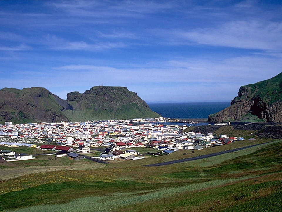 Vestmannaeyjar Boat Tour — Ribsafari - Boat Tours in Vestmannaeyjar