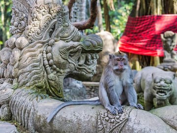 Ubud Sacred Monkey Forest