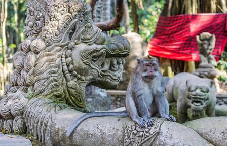 Full-Day Ayung River Rafting and Ubud Cultural Tour