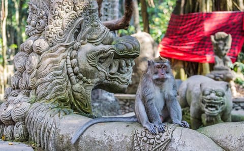 Full-Day Ayung River Rafting and Ubud Cultural Tour