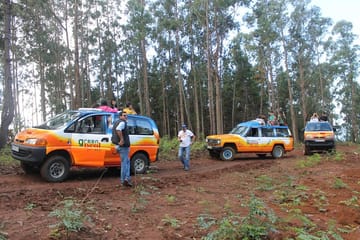 Funchal to Porto Moniz 4x4 Adventure Tour