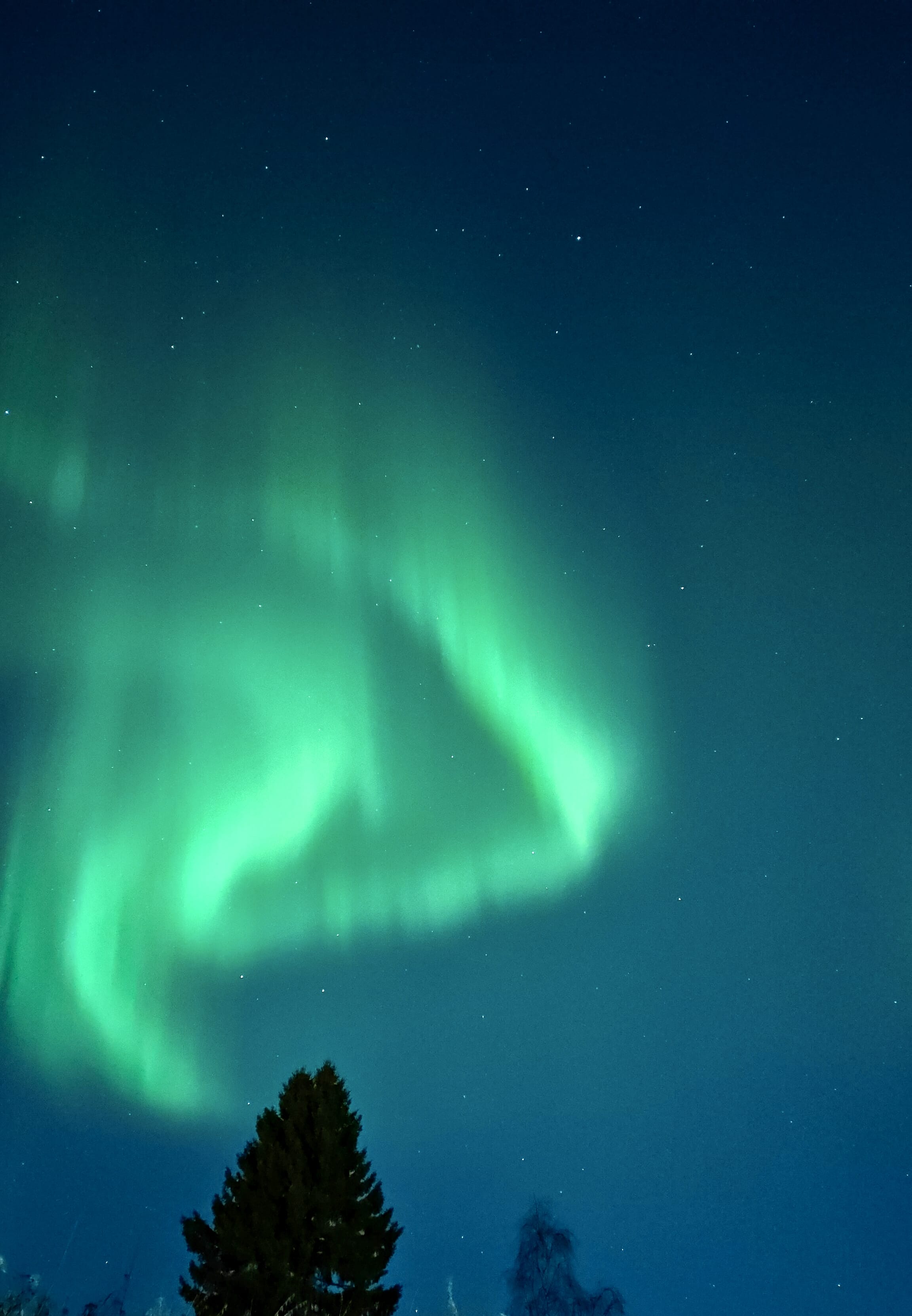 Aurora borealis painting the sky with shifting green tones.