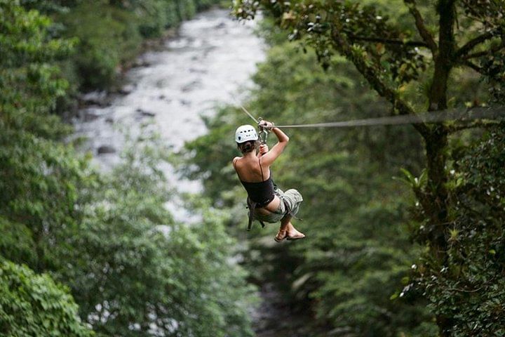 Day Trip from San Jose to Braulio Carrillo Canopy Tour