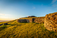 2 Half Days & 2 Full Days Private Tours | OPTION B 4