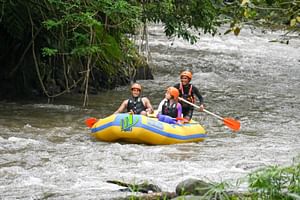 Ayung River White Water Rafting in Ubud