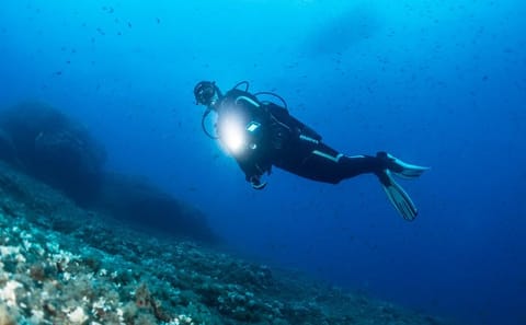 Scuba Diving Experience at Dusk in Unawatuna, Sri Lanka