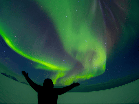 Reykjavík: Northern Lights Small-Group Tour by Sprinter with Photos & Cocoa, photo 2