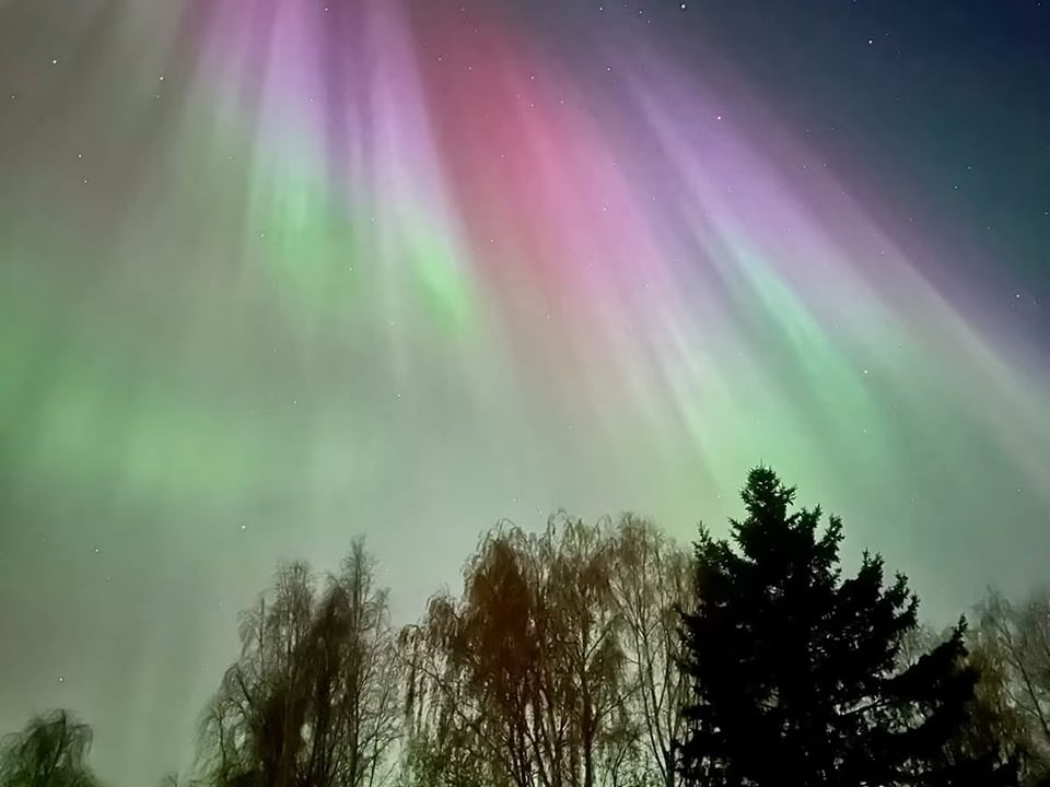 Private Northern Lights Evening Tour Aurora Borealis Experience — Iceland Nature Tours