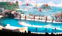 BANGKOK: Join Tour: Full Day Tour Safari World - Marine Park - Buffet Lunch with Private Transfer 8