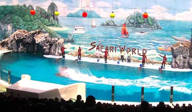 BANGKOK: Join Tour: Full Day Tour Safari World - Marine Park - Buffet Lunch with Private Transfer 8