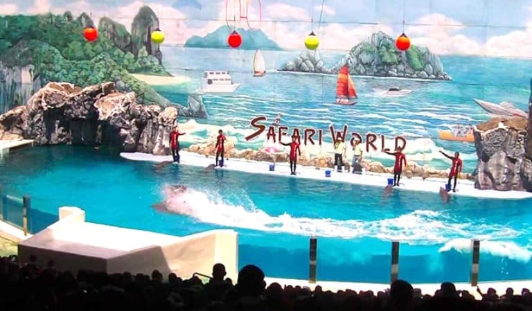 BANGKOK: Join Tour: Full Day Tour Safari World - Marine Park - Buffet Lunch with Private Transfer 8