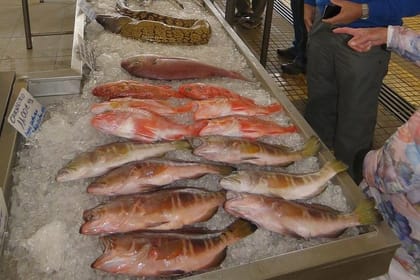 traditional Farmers Market Open 4X4 Half Day Tour