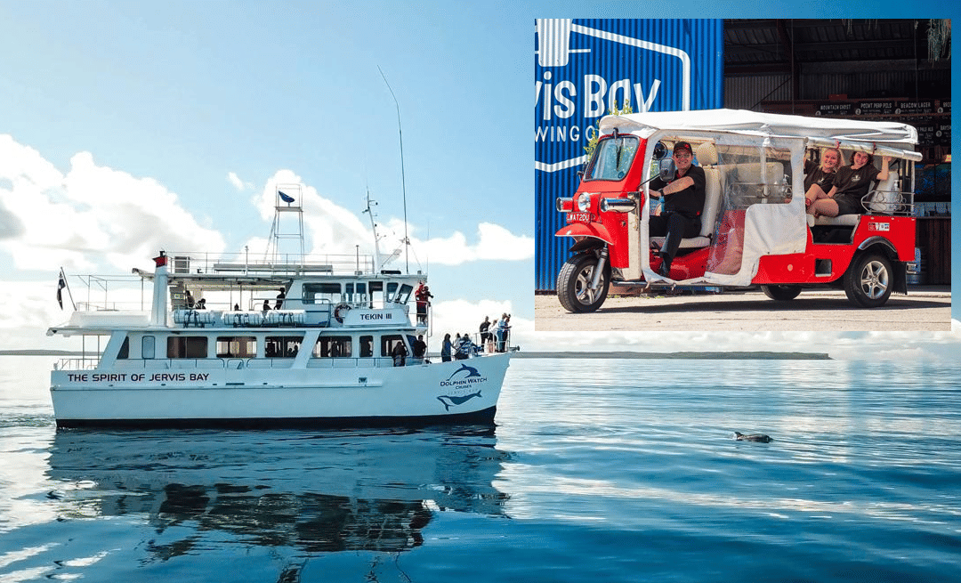 Dolphin Cruise & Tuk Tuk Combo