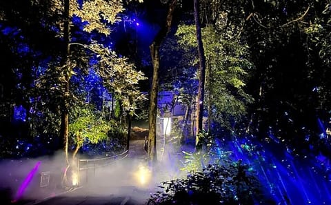 Legends of Langkawi – The Dream Forest Night Walk