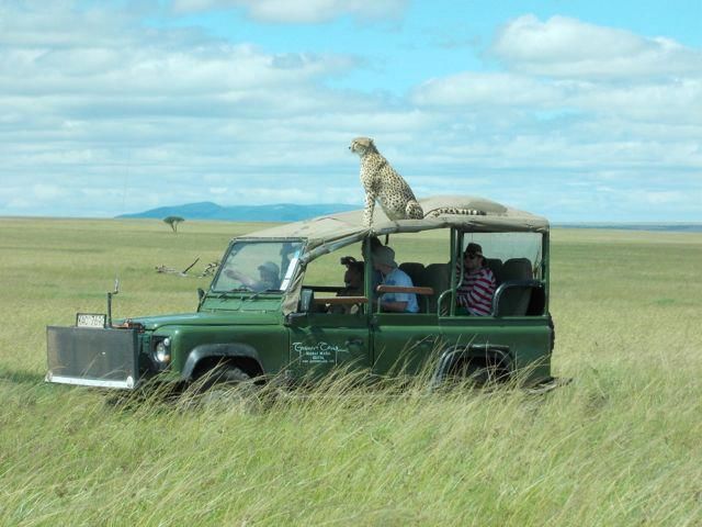 2-Day Mara Fly In Safari
