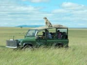 2-Day Mara Fly In Safari 1