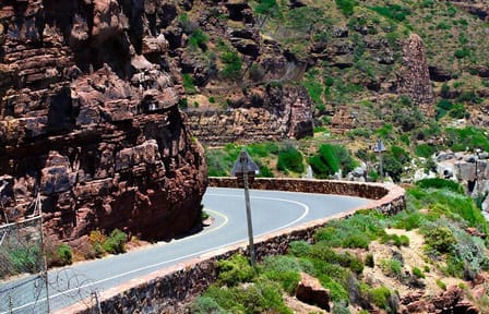 Robben Island and Peninsula Tour Including Fees