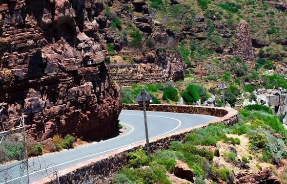Robben Island and Peninsula Tour Including Fees