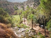 Paradise valley Half Day Experience from Taghazoute 5