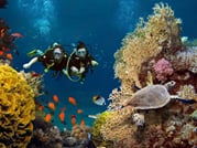 Phuket: Racha Island and Coral Islands + Scuba Beach Dive 9
