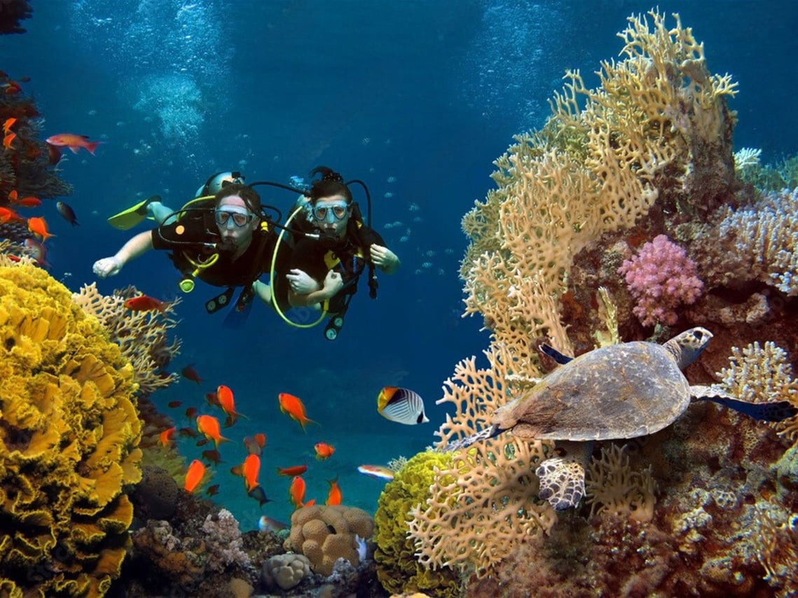 Phuket: Racha Island and Coral Islands + Scuba Beach Dive 9