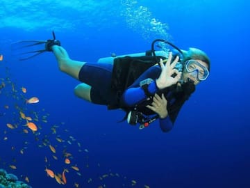 Full-Day Diving Tour in Hurghada with Lunch and Two Sites