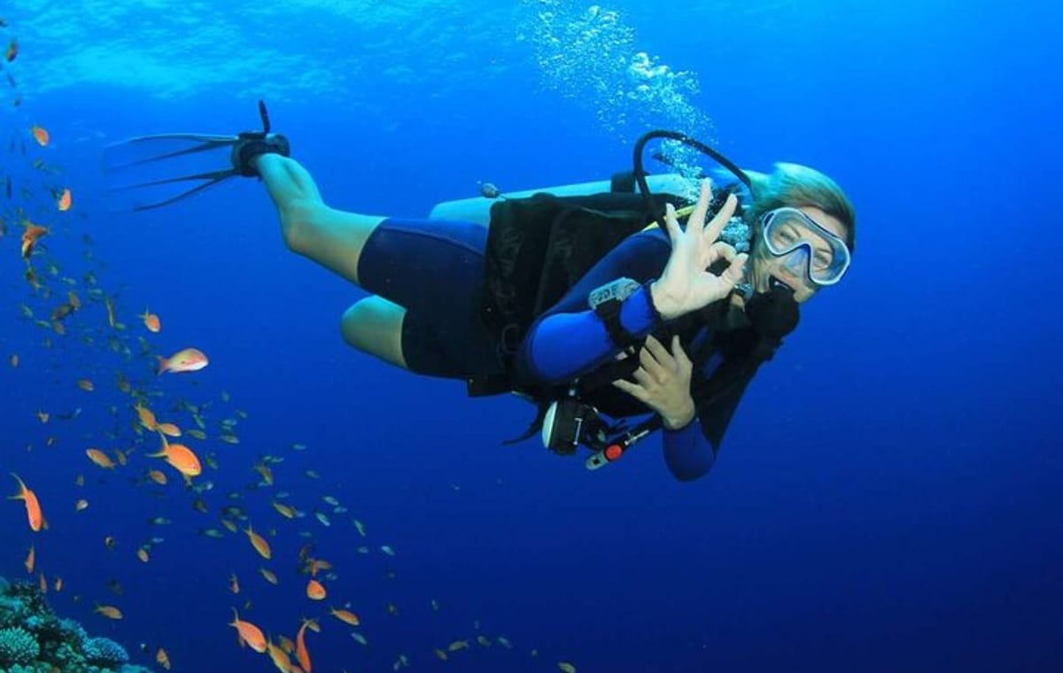 Hurghada: Full-Day Diving Tour with Lunch & Two Dive Sites