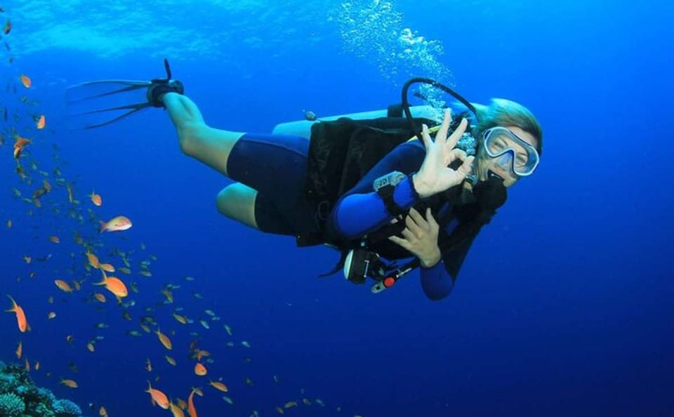 Full-Day Diving Tour in Hurghada with Lunch and Two Sites