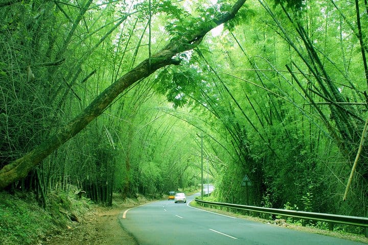 19 Days Mera Peak Climbing & Expedition – One Life-Changing Himalayan Adventure