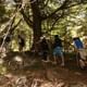 Cerro Trekking Tour from San Martin de los Andes