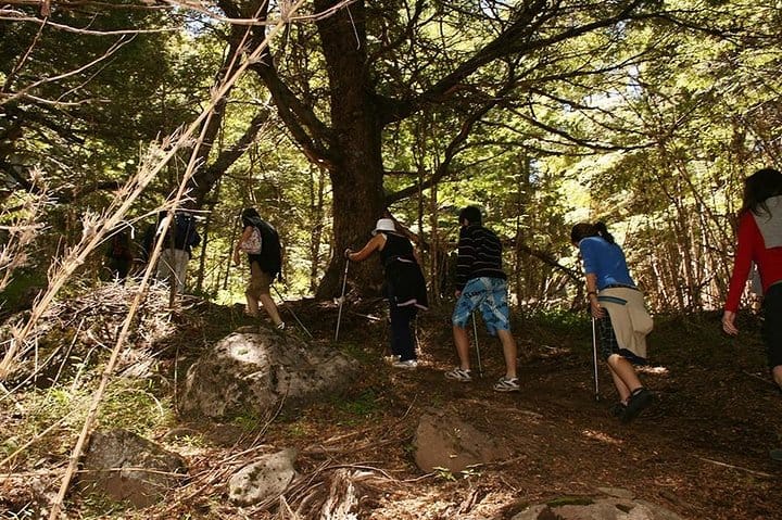 Cerro Trekking Tour from San Martin de los Andes